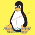 Advanced Commands for Middle Level Linux Users